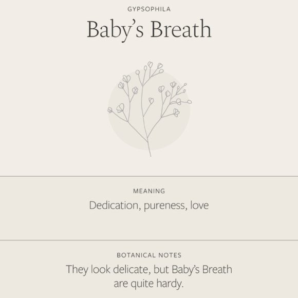 Baby's Breath Floral Bohemian Cute Charm Necklace - Picture 7 of 15